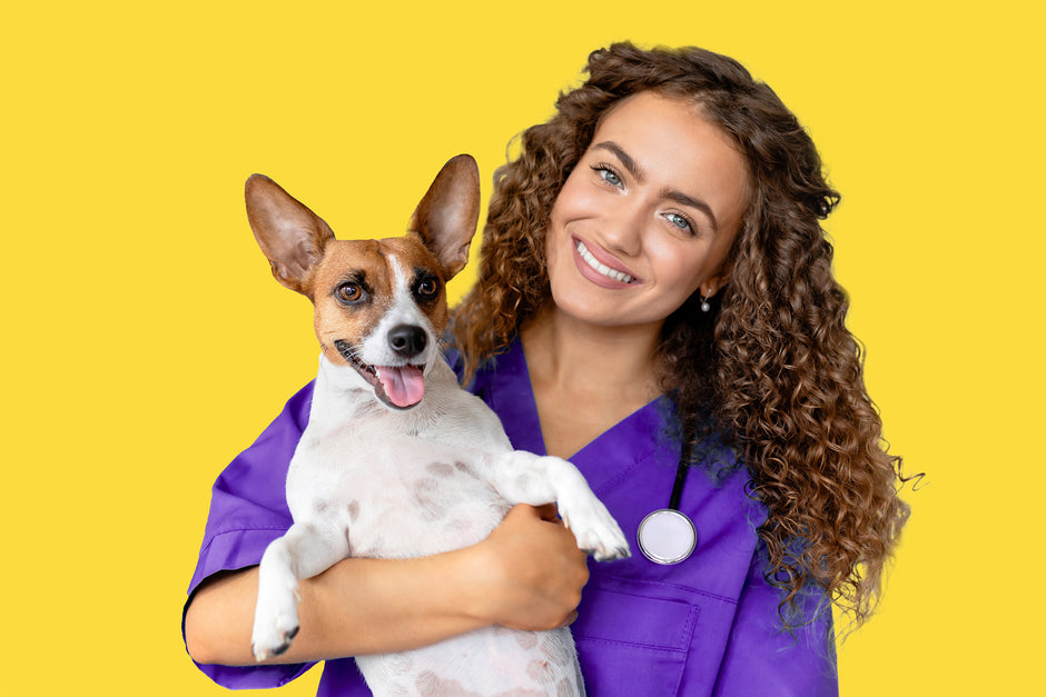A smiling woman in purple scrubs holding a happy, small dog with brown and white fur, both looking at the camera, against a bright yellow background. A stethoscope hangs around her neck.