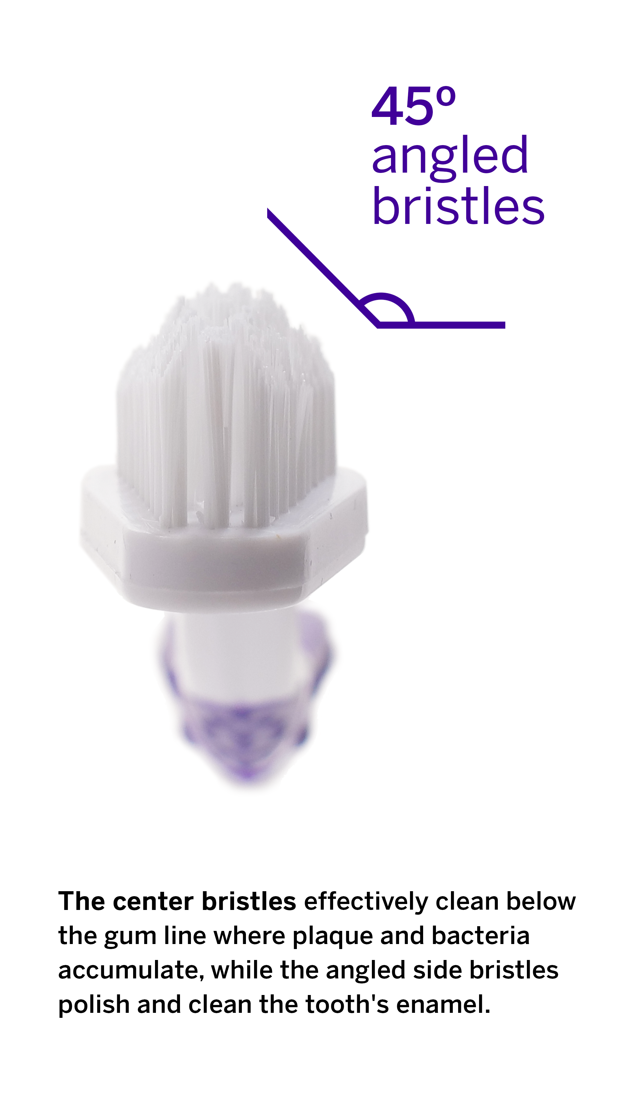 Eliminates bacteria with angled bristles , petsmile brush removes bacteria with ease , Dual-sided brush cleans teeth and gums , Purple toothbrush with 45-degree angle , Tootbrush removes bacteria from pet's mouth 