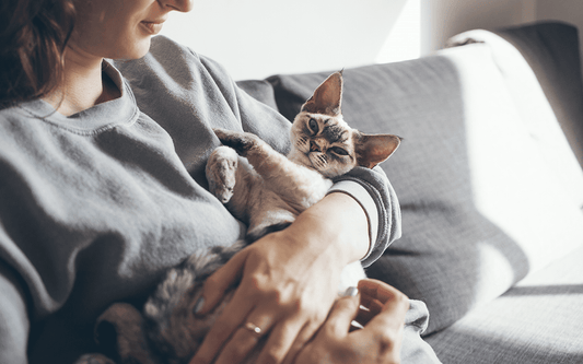 women with cat, pussycat, grey couch, happy healthy cat, snuggle with kitten, healthy kitten teeth
