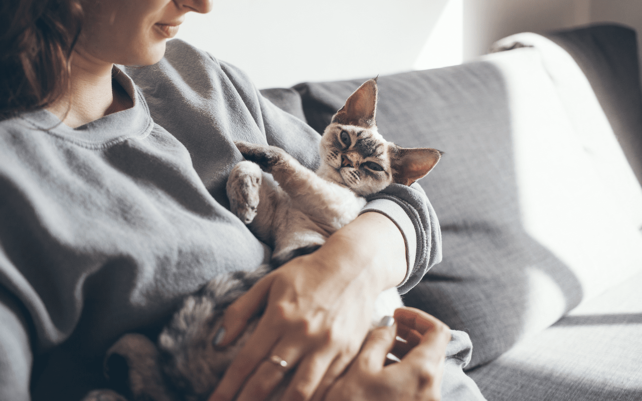 women with cat, pussycat, grey couch, happy healthy cat, snuggle with kitten, healthy kitten teeth