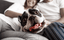 french bull dog, petsmile blog, information for cats and dogs, oral healthcare for pets