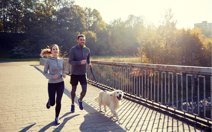 running with dogs, healthy pets, keeping fit with pets, active pet owner