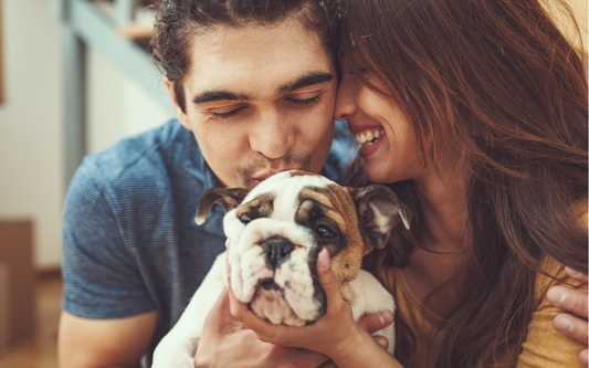 new pet, puppy, love, bring home, things to know