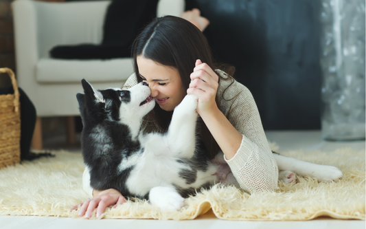 mental health pets, dogs help with mental help, mental support animal