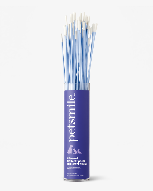 A clear petsmile container holds many blue Professional Toothpaste Applicator Swabs with white tips, designed for precise pet dental care and professional Petsmile toothpaste application.