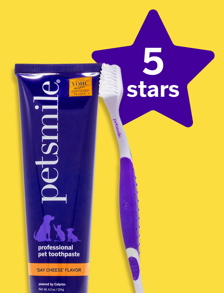 Petsmile professional pet hot sale toothpaste