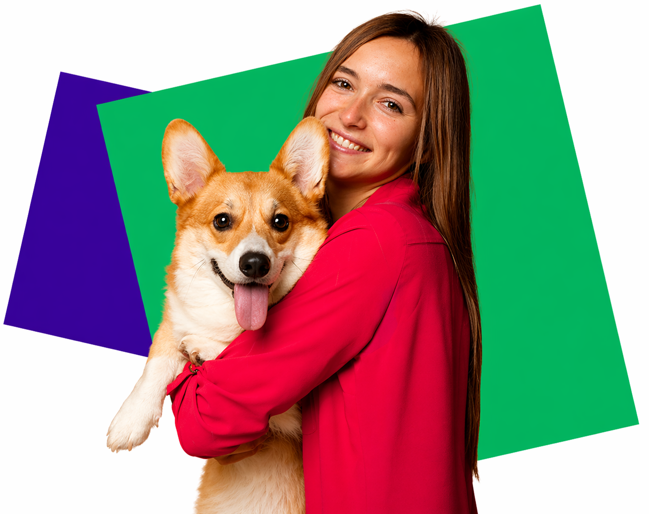 Pet Care Image