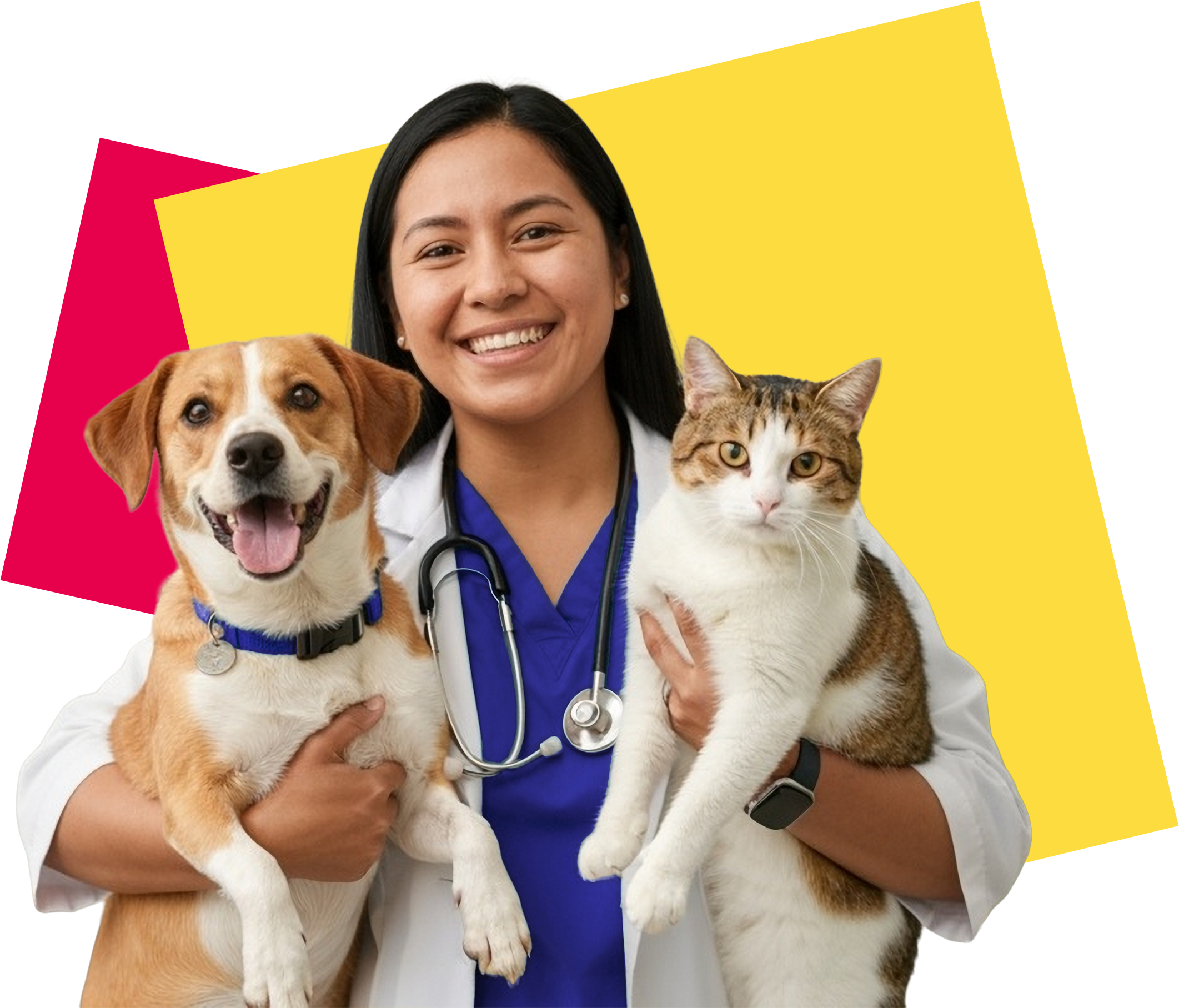 Pet Care Image
