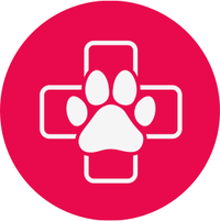 made with human-grade ingredients