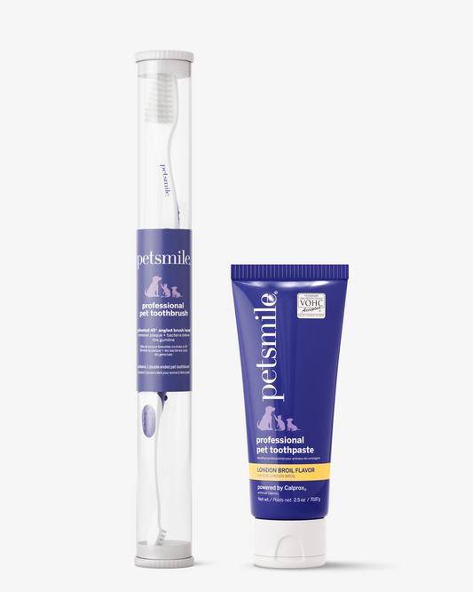 A petsmile Professional Toothpaste London Broil Small and Professional Pet Toothbrush set, both in blue and white packaging for pets dental care, comes in a clear cylindrical case.