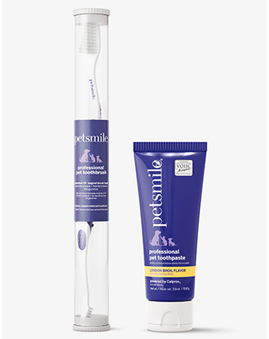 The Protector Kit by petsmile features a white pet toothbrush in a clear case beside a blue tube of London Broil-flavored professional toothpaste, displayed on a light background.