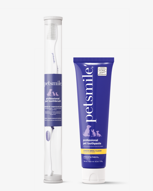A tube of petsmile Professional Toothpaste London Broil Large and a Professional Pet Toothbrush come in a clear cylindrical case with purple and white packaging featuring dog and cat icons; VOHC-approved.