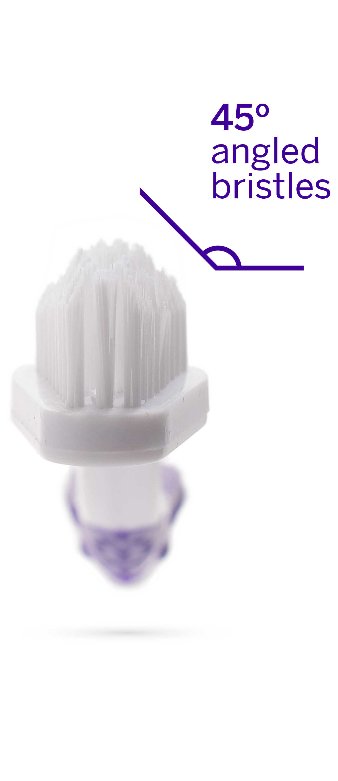 The petsmile Professional Pet Toothbrush features a white brush head with bristles angled at 45°, highlighted in purple, paired with Professional Toothpaste London Broil Large for enhanced dental care and cleaning.
