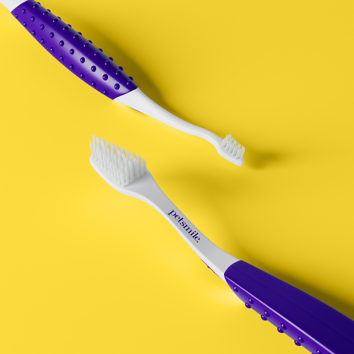 oral-care-for-dogs-cats-vohc-recommended-toothpaste-petsmile