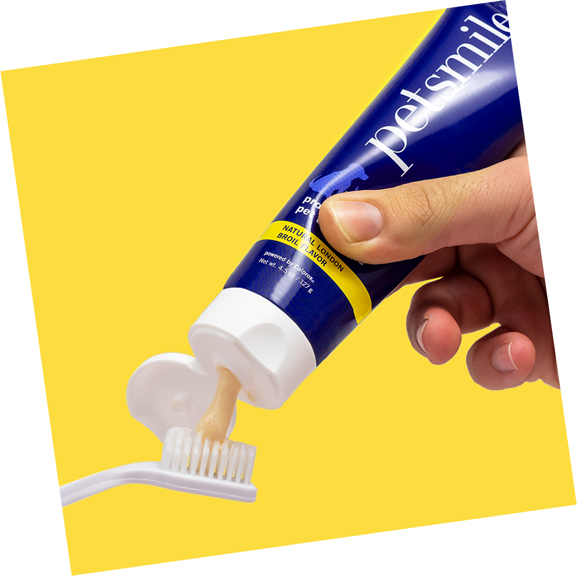 How to Use Petsmile Toothpaste – petsmile