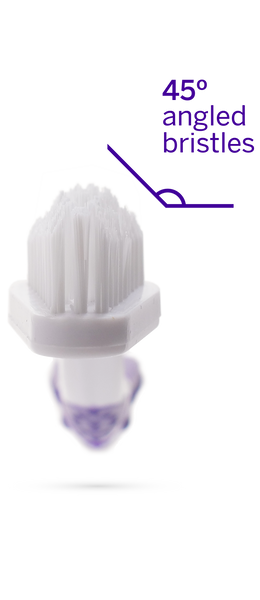Close-up of the petsmile Professional Pet Toothbrush, featuring white bristles angled at 45° for optimal dental care. Use with petsmile Professional Toothpaste Rotisserie Chicken Small for a superior clean.