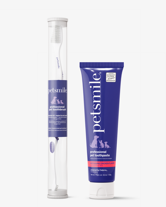 A white petsmile Professional Pet Toothbrush in a clear tube sits next to a blue tube of petsmile Professional Toothpaste Rotisserie Chicken Large, both part of a dental care system powered by the Calprox formula.