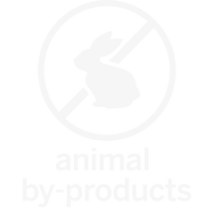 logo-banner-2