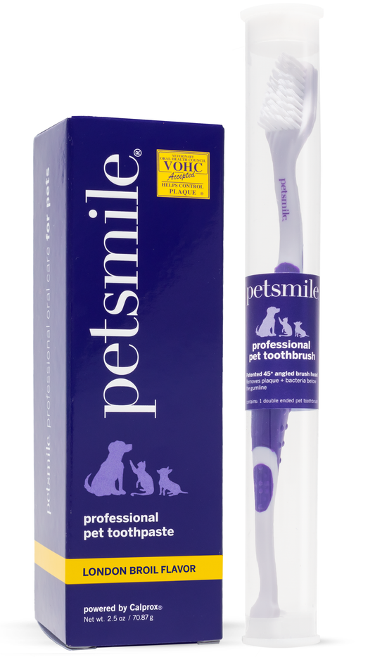 A box of petsmile Auto-Ship 4 Month Supply Toothpaste (London broil flavor) sits next to a clear tube with a professional pet toothbrush. The dark blue packaging features white and yellow text with playful pet silhouettes.