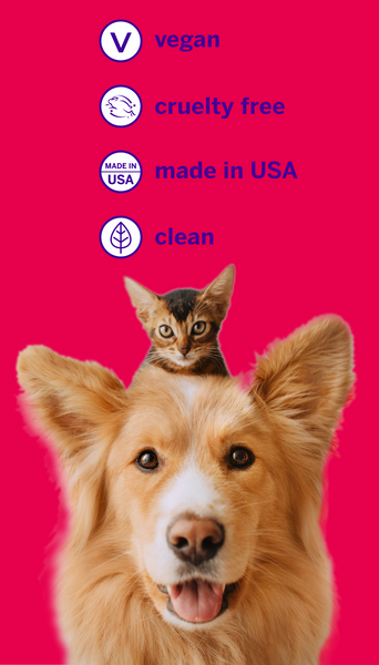 Small bottled petsmile toothpaste in Chicken flavor , Easy steps, clean teeth , Purple toothbrush with 45-degre angle , Small tube, big results , Fresh breath, Made in USA.
