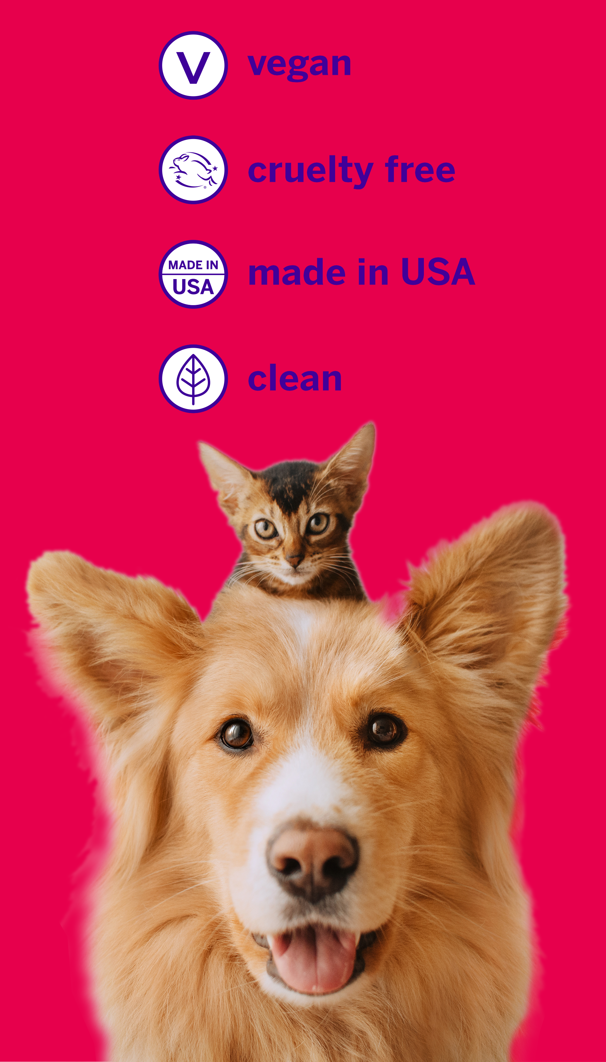 A smiling dog with a kitten on its head appears against a bright pink background. Nearby, icons and text highlight petsmile Professional Cat Toothpaste Rotisserie Chicken Small & Toothbrush as vegan, cruelty free, made in USA, clean, and protective against plaque and tartar.