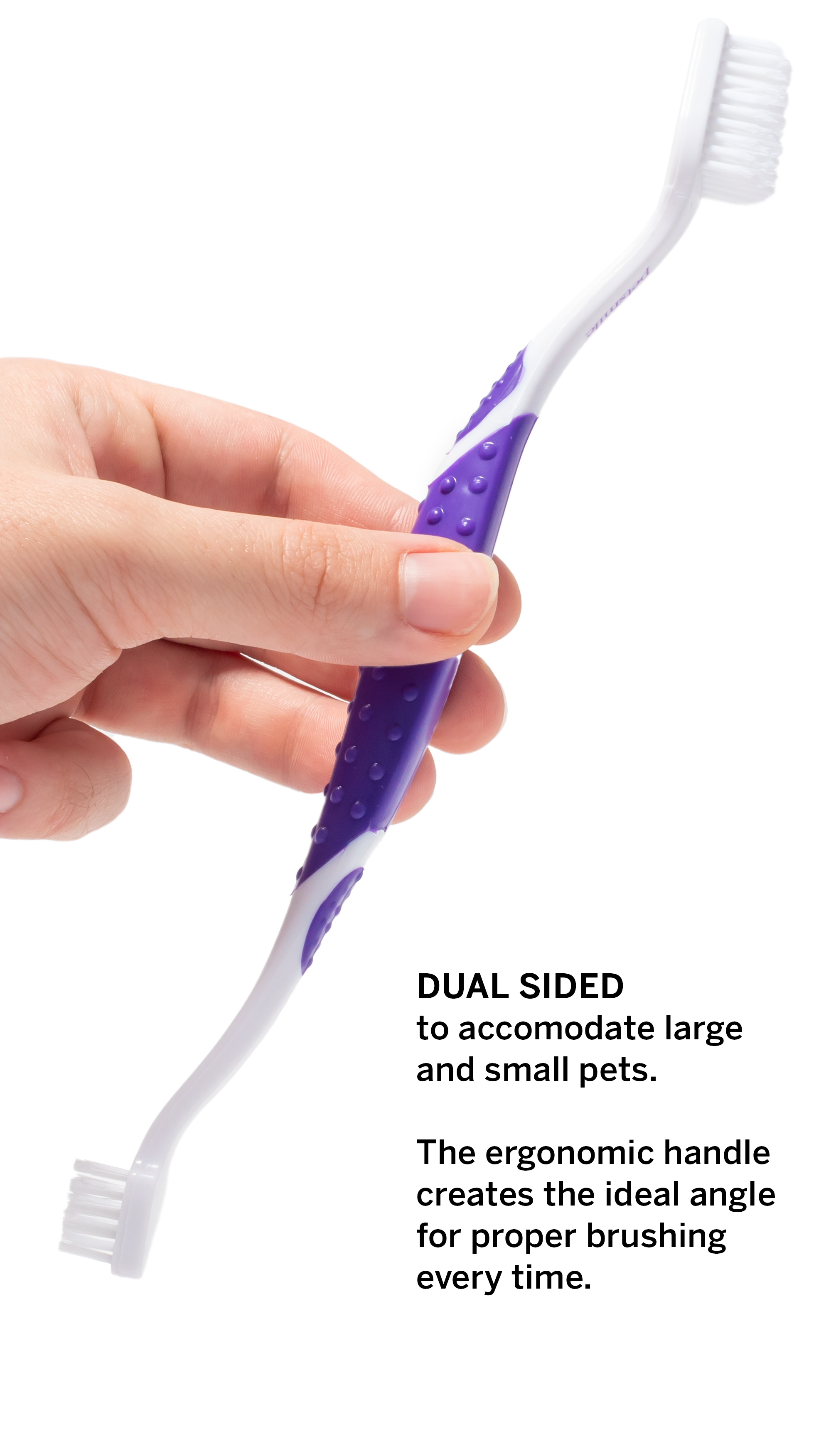 A hand holds a dual-sided petsmile Dog Toothbrush with white bristles and a purple ergonomic handle, ideal for large and small pets. For best veterinary dental care, use with petsmile Professional Dog Toothpaste Say Cheese Large.