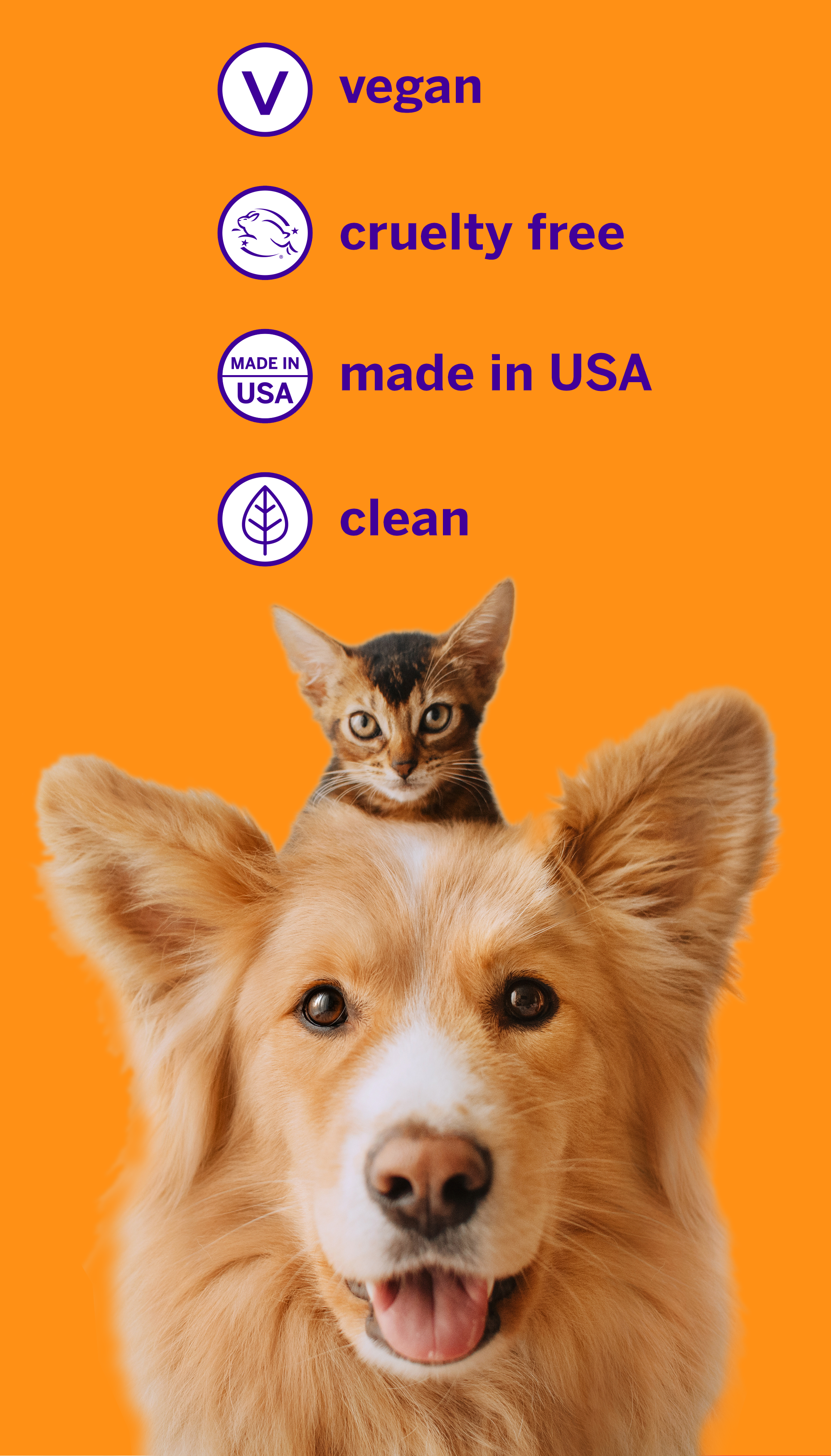 Large bottled petsmile dog toothpaste in Cheese flavor , Easy steps, clean teeth , Purple toothbrush with 45-degre angle , Large tube, massive results  , Fresh breath, Made in USA.