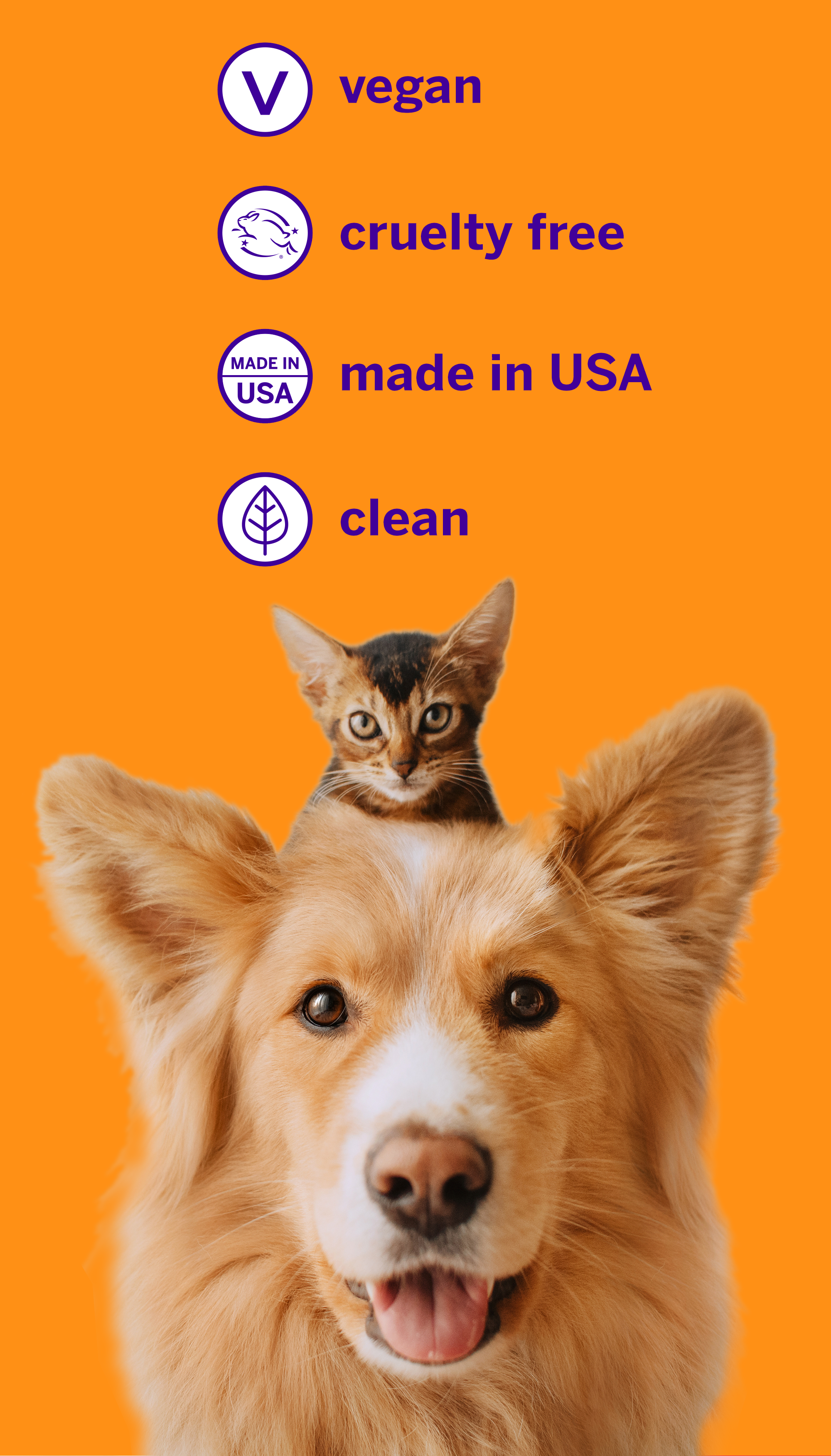 A happy dog with a kitten on its head sits before an orange backdrop. Text and icons highlight: petsmile Professional Pet Toothpaste – London Broil, vegan, cruelty-free, made in USA, clean, VOHC-accepted Calprox® formula for oral health.