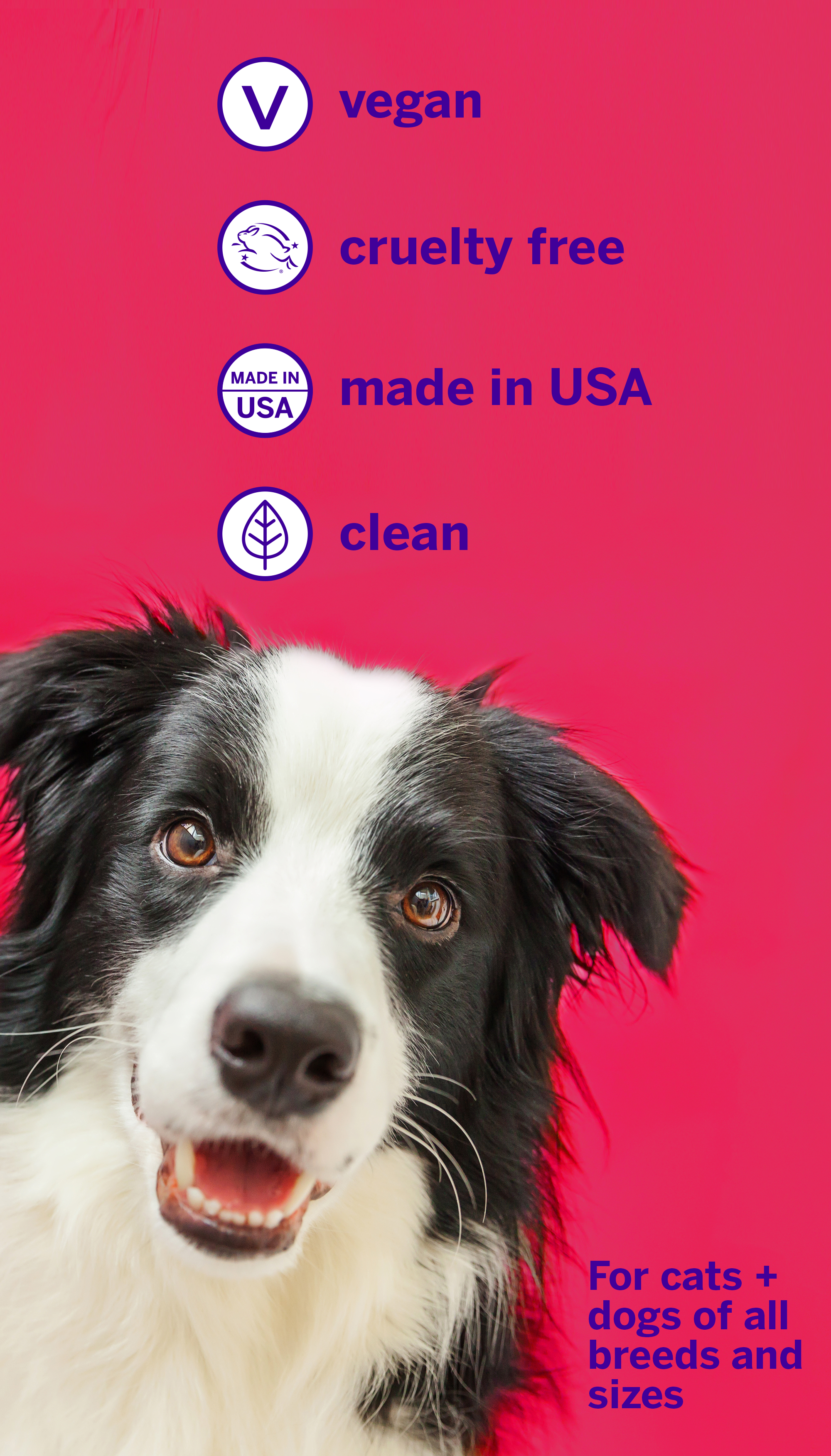 A happy black and white dog in front of a pink background. Icons say: vegan, cruelty-free, made in USA, clean. Petsmile Professional Dog Toothpaste Rotisserie Chicken Large & Toothbrush fights plaque/tartar for all cats & dogs.