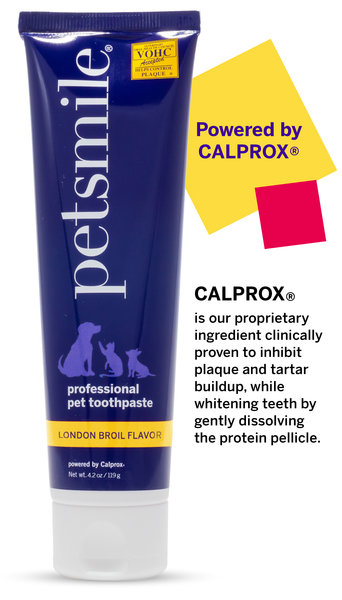 Professional grade dental care for dogs , Purple bottled petsmile dog toothbrush and toothpaste with London Broil flavor , Large petsmile dog toothpaste powered by Calprox , Large dog toothpaste with London Broil flavor , Purple toothbrush that makes teeth cleaner